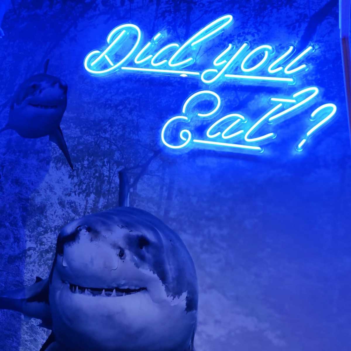 scritta-a-led-did-you-eat